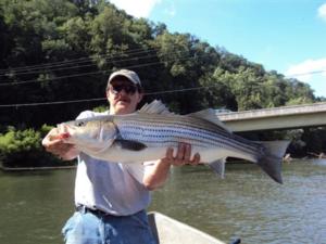 striper fishing guides